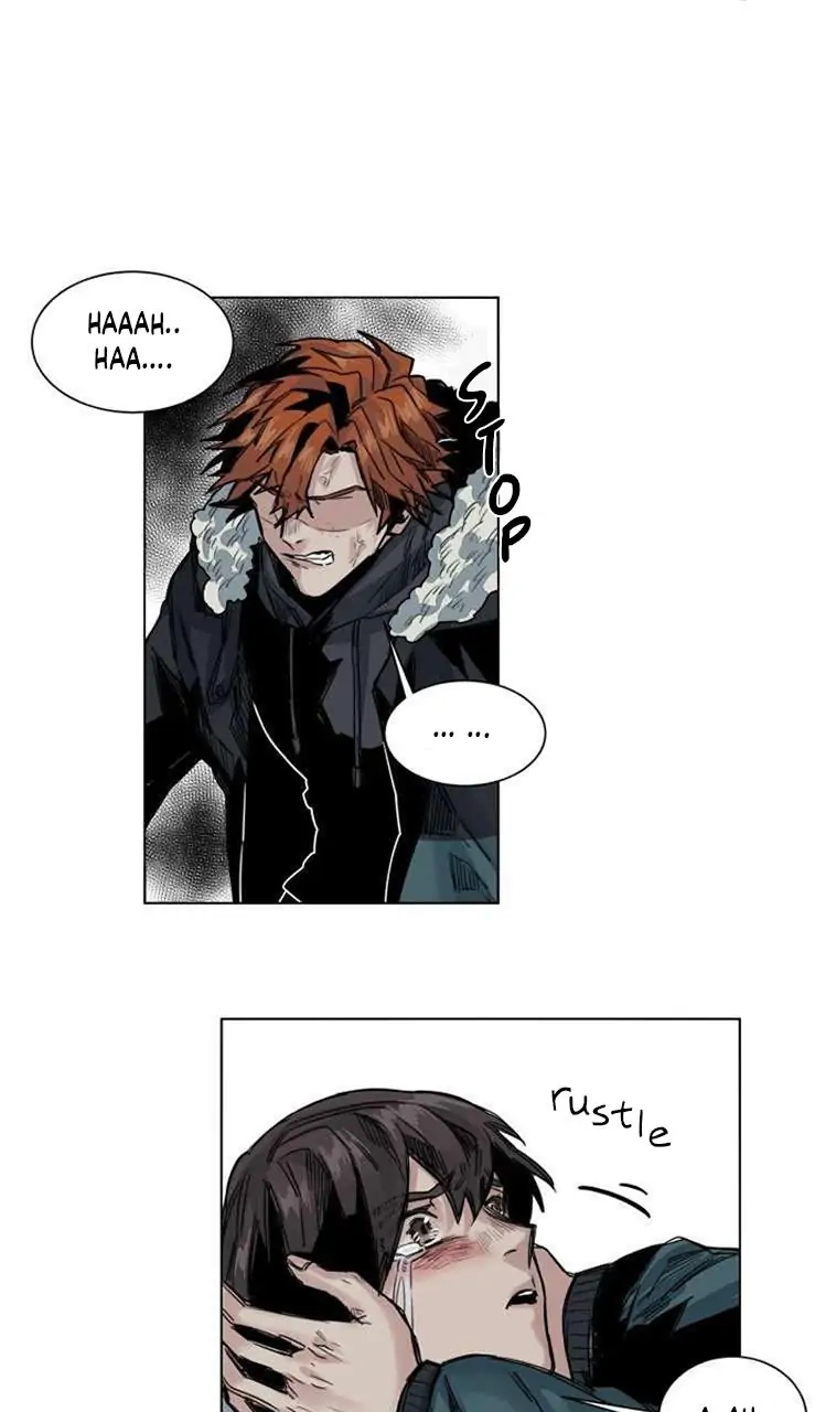 A Dead Crow