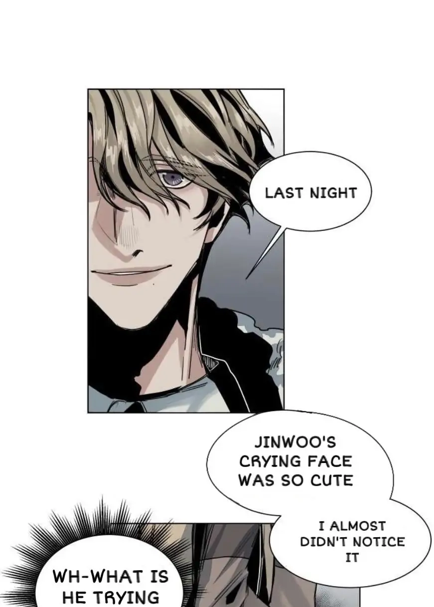 A Dead Crow