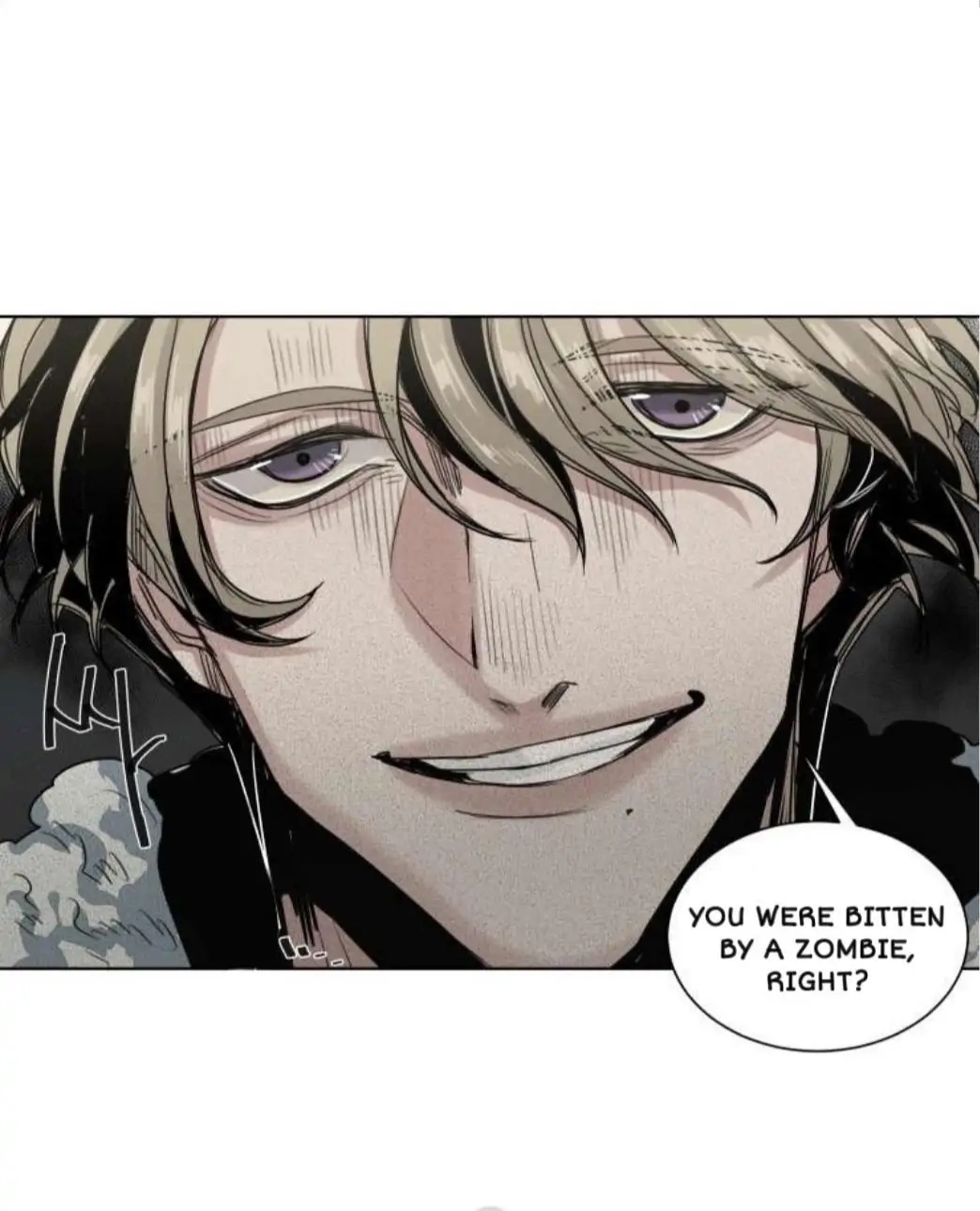 A Dead Crow