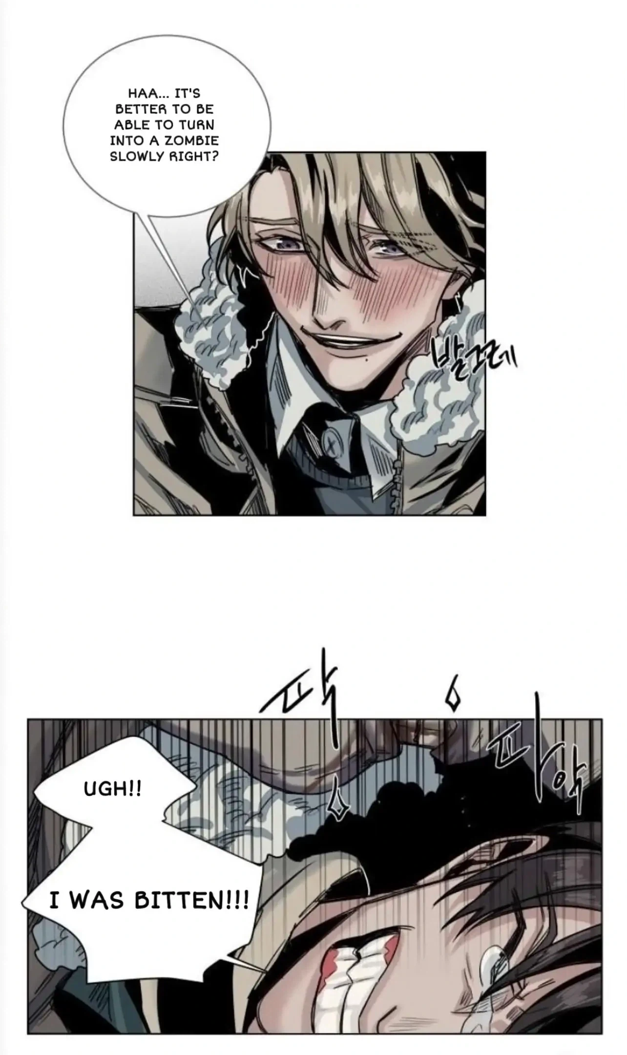 A Dead Crow