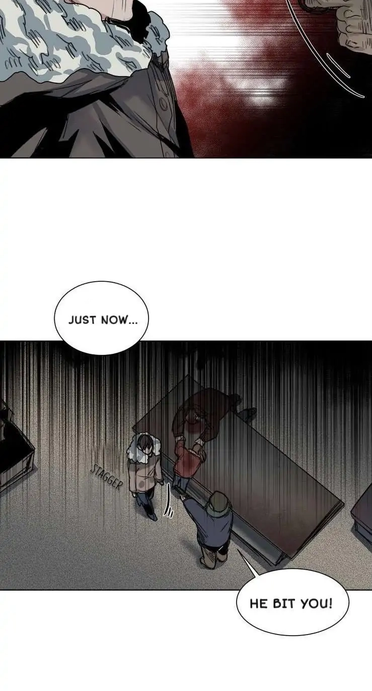 A Dead Crow