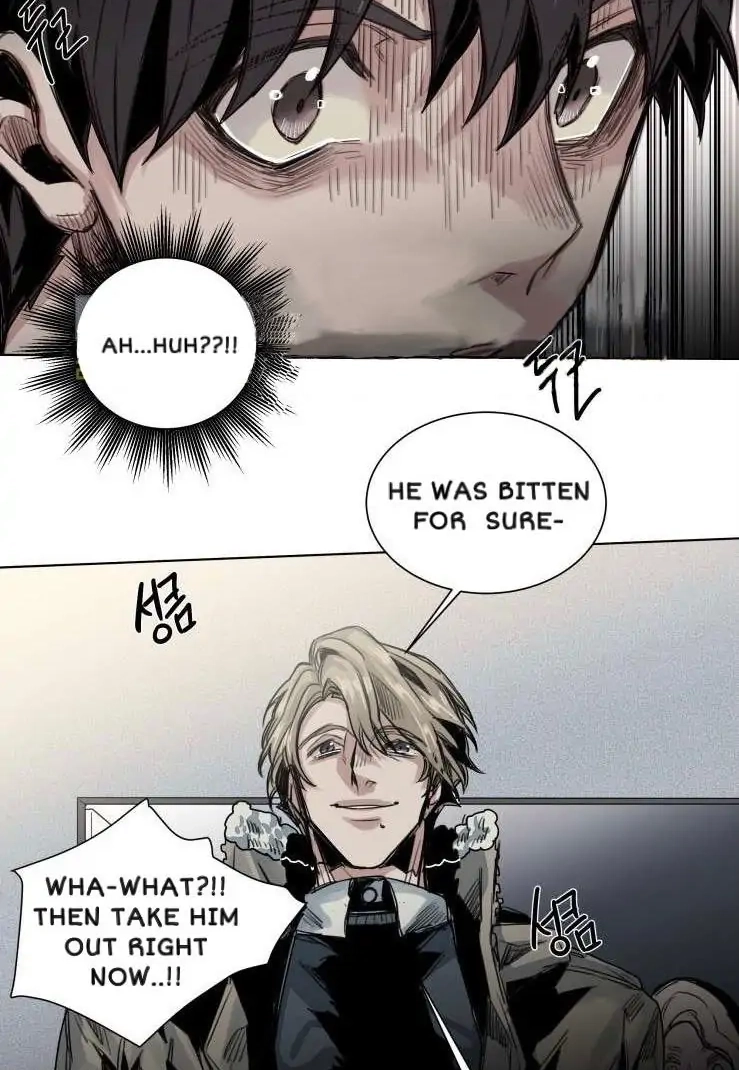 A Dead Crow