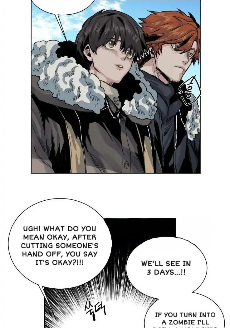 A Dead Crow