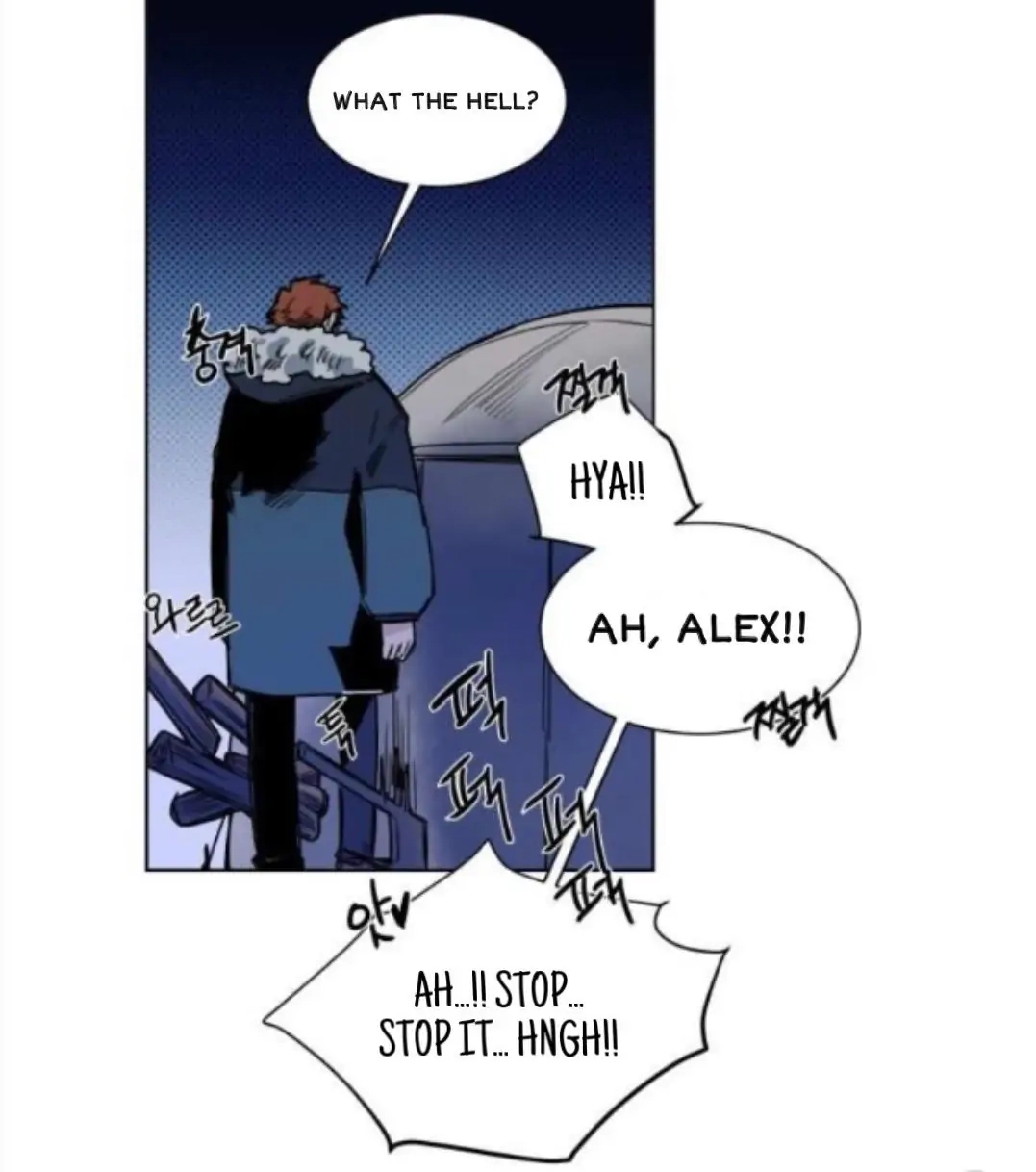 A Dead Crow