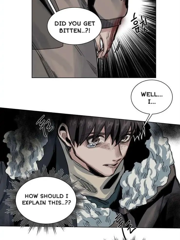 A Dead Crow