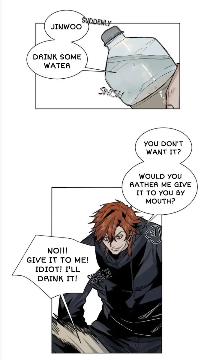 A Dead Crow