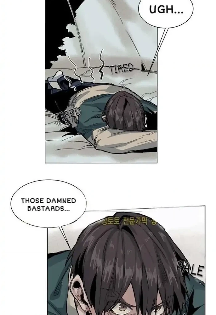 A Dead Crow