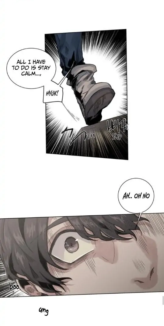 A Dead Crow