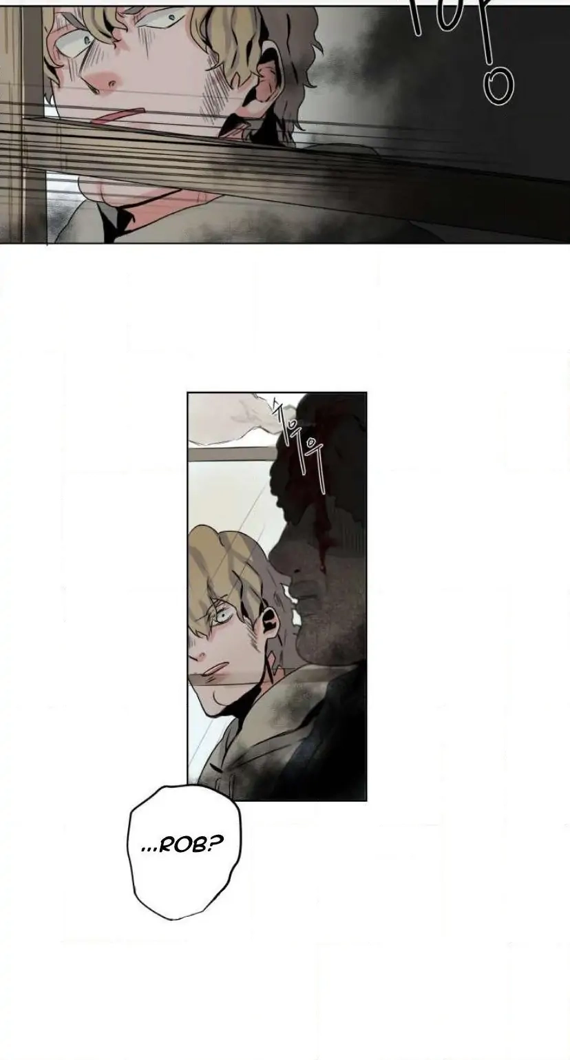 A Dead Crow