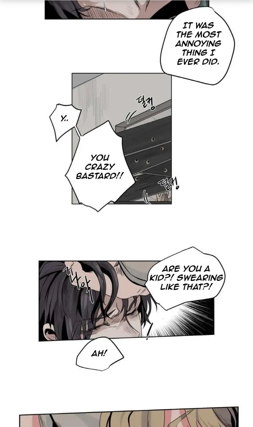 A Dead Crow
