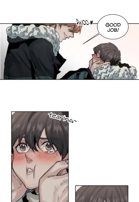 A Dead Crow