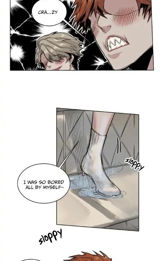 A Dead Crow