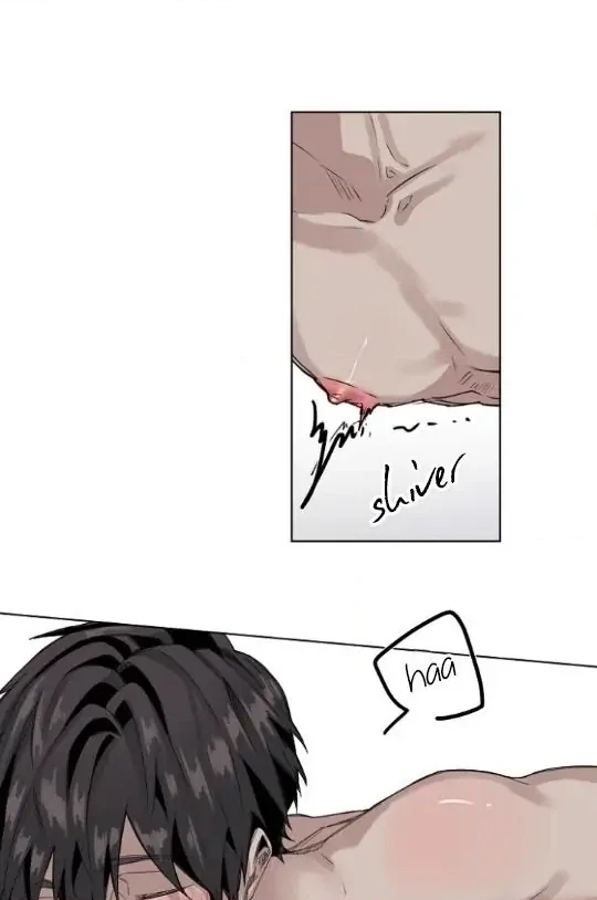 A Dead Crow