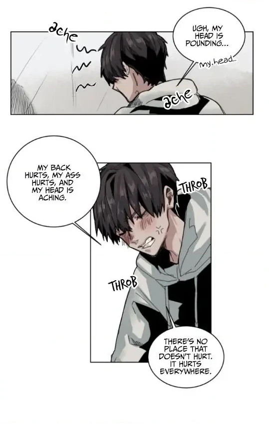 A Dead Crow