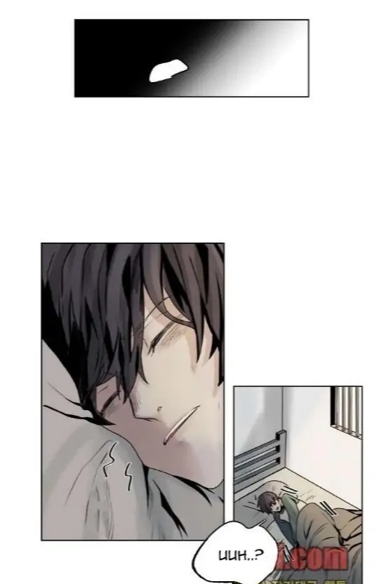 A Dead Crow