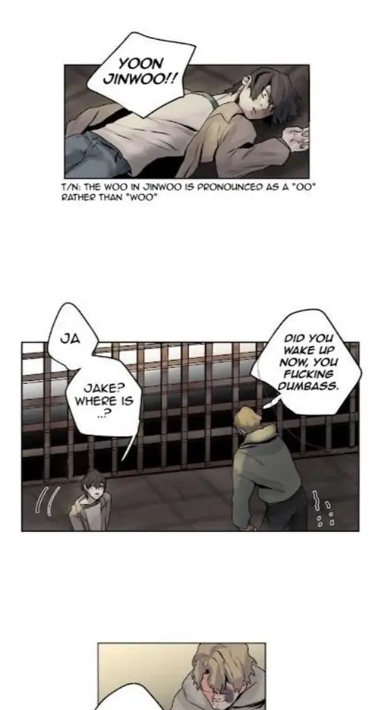 A Dead Crow