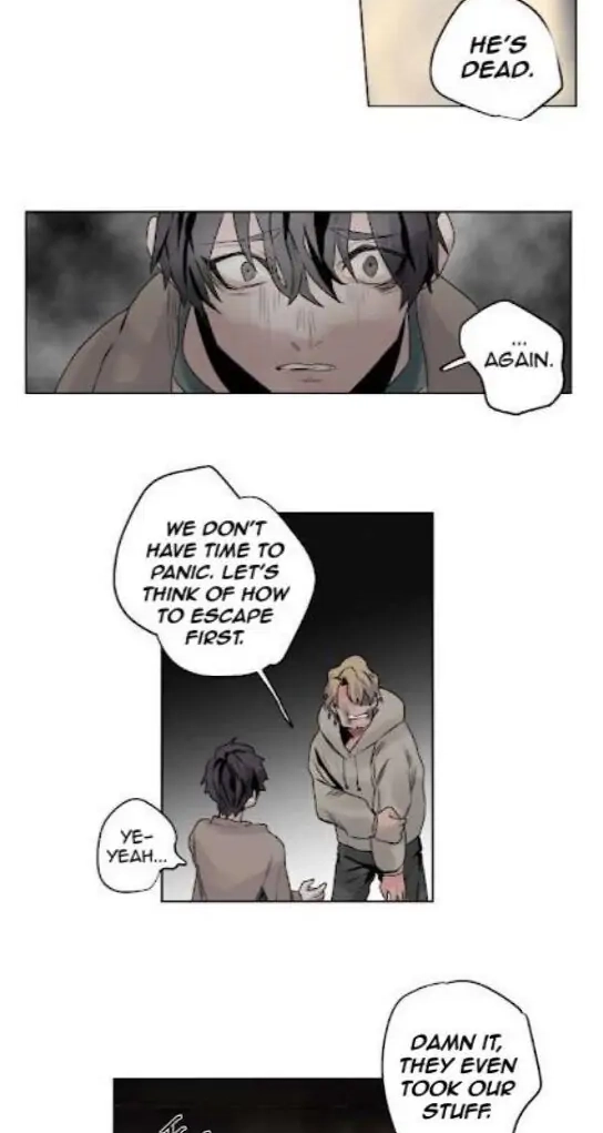 A Dead Crow