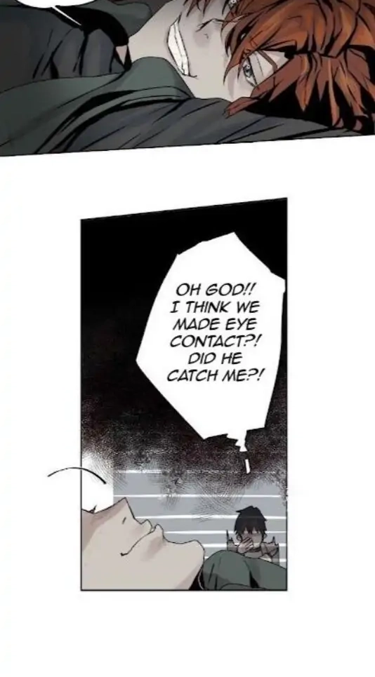 A Dead Crow