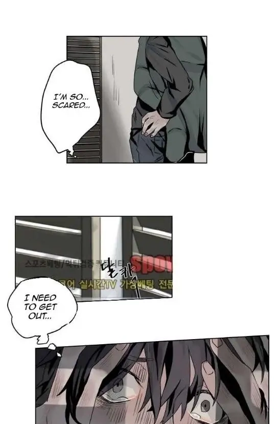 A Dead Crow