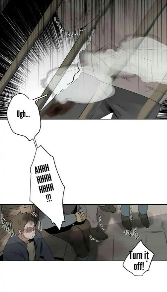 A Dead Crow
