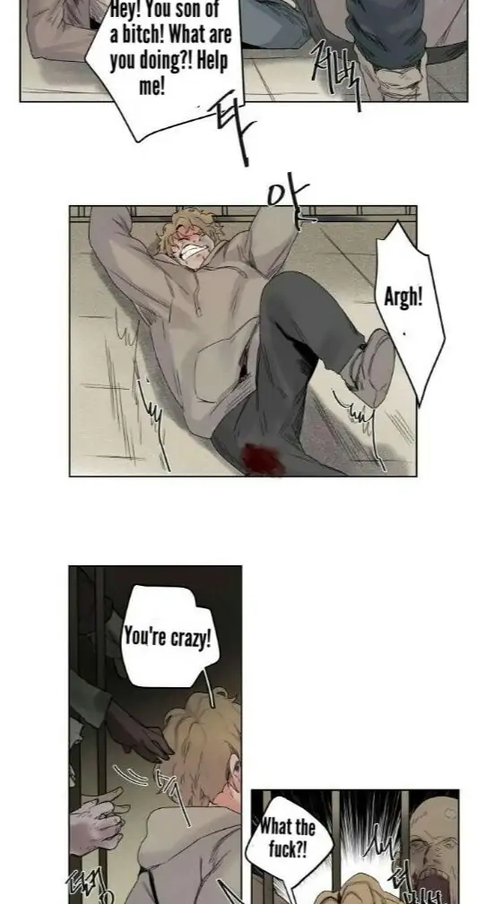 A Dead Crow