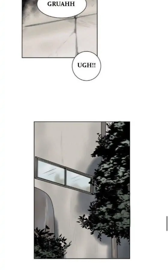 A Dead Crow