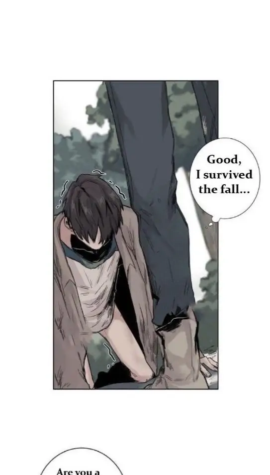 A Dead Crow
