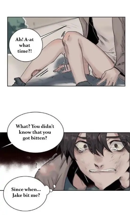 A Dead Crow