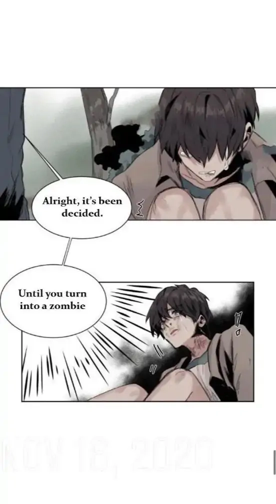 A Dead Crow