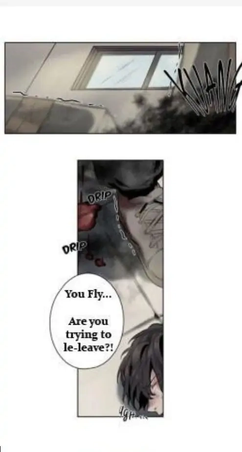 A Dead Crow