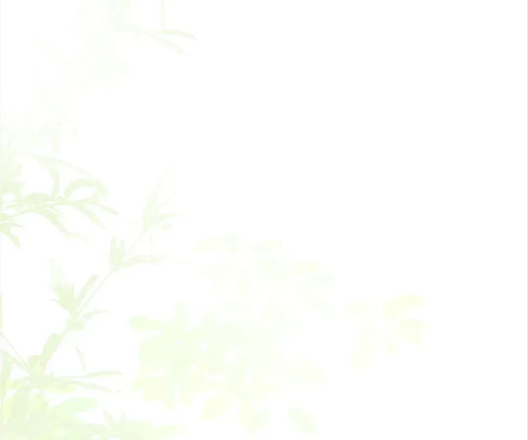 A Desolate Swan Lake Chapter 12 page 37 - 