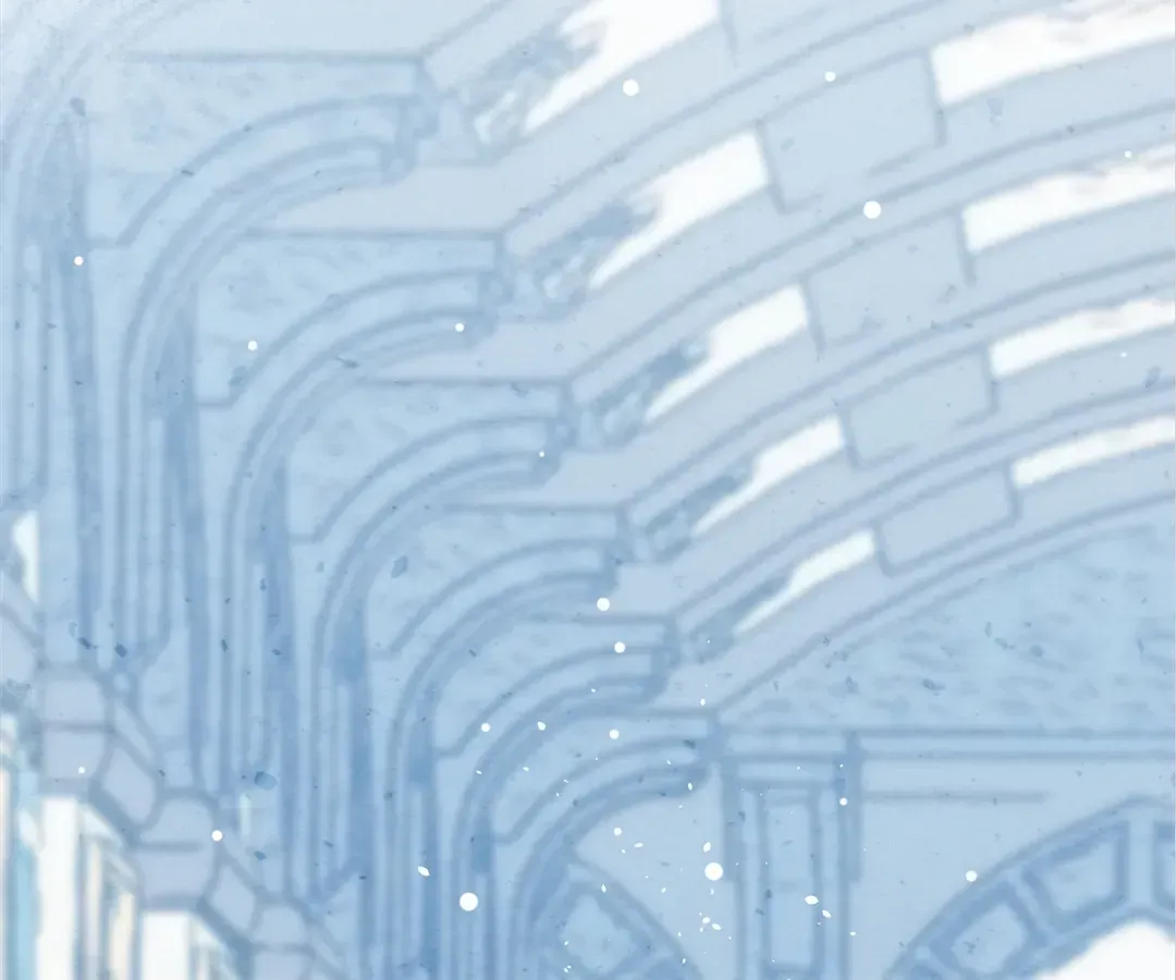 A Desolate Swan Lake Chapter 12 page 47 - 