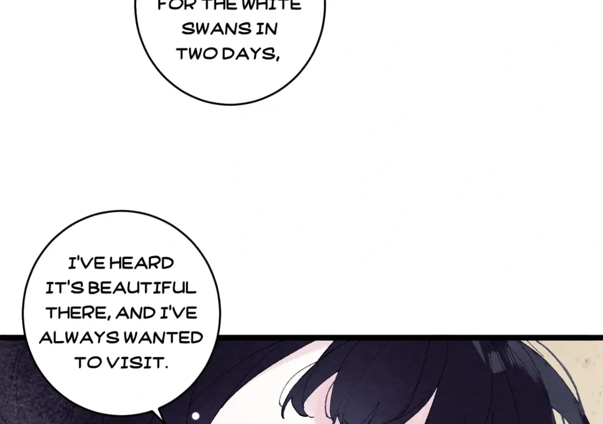 A Desolate Swan Lake Chapter 14 page 60 - 