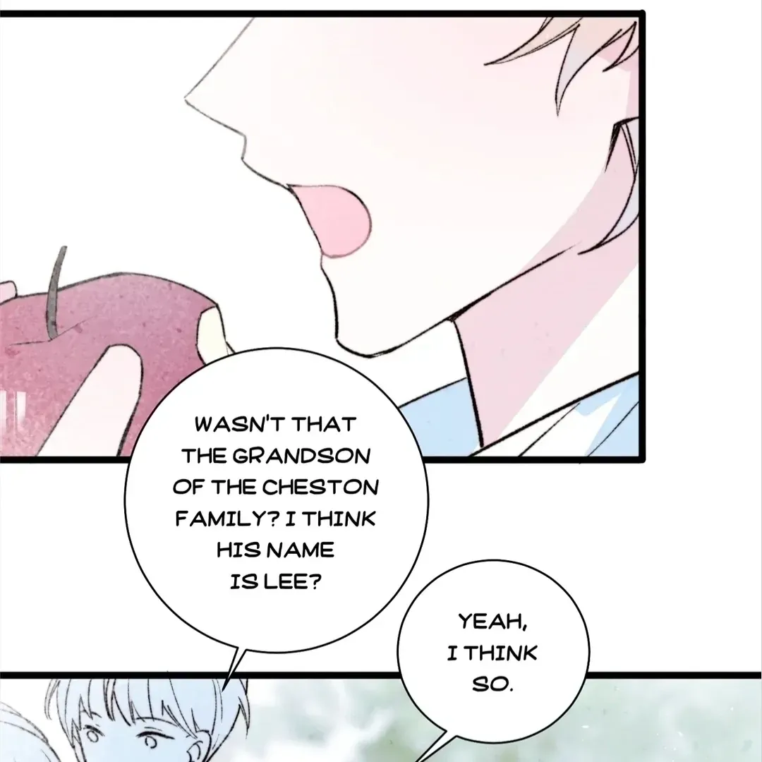 A Desolate Swan Lake Chapter 34 page 39 - 