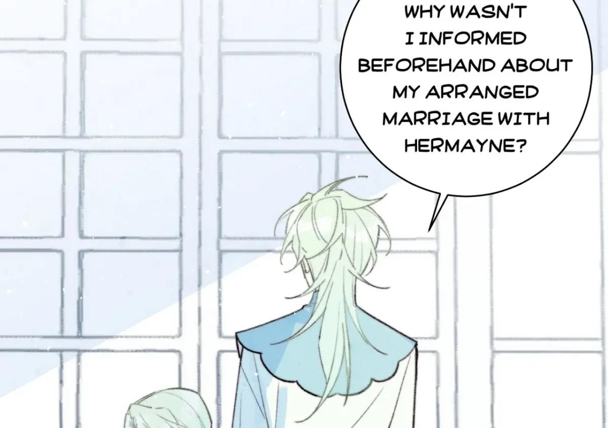 A Desolate Swan Lake Chapter 39 page 15 - 