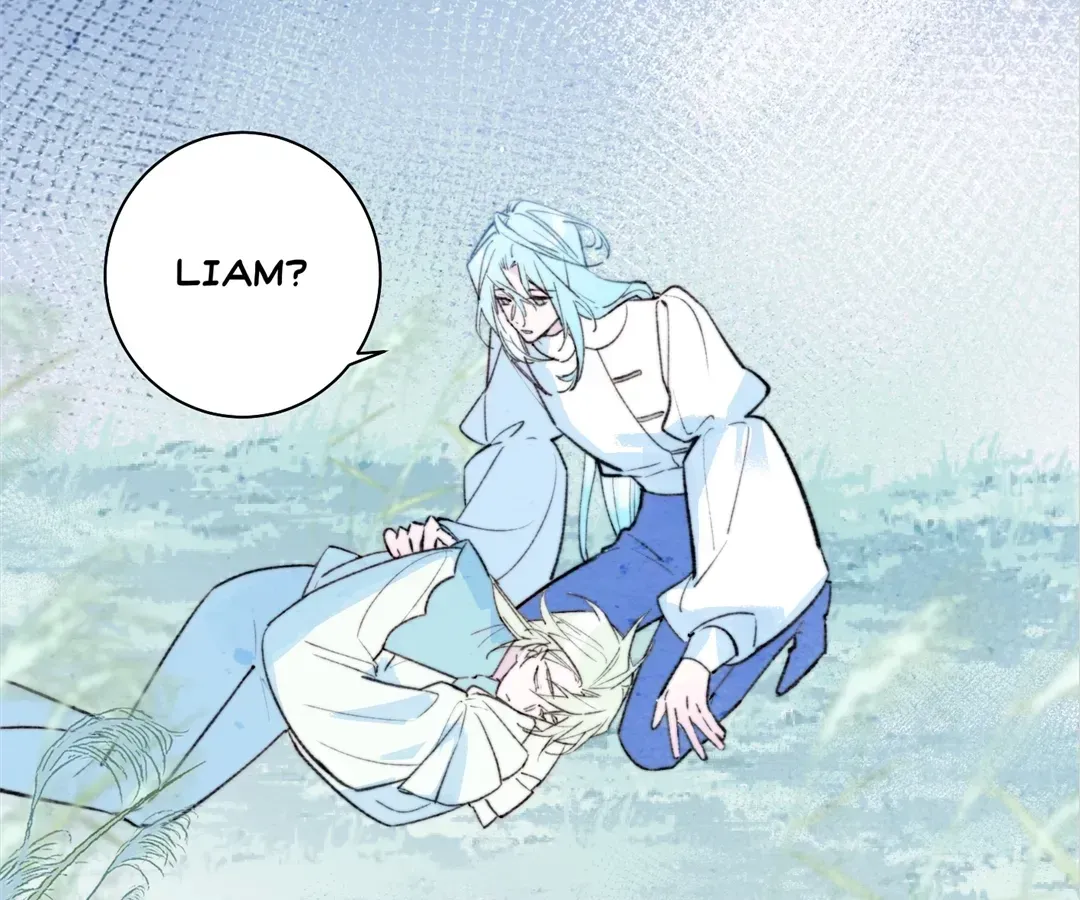 A Desolate Swan Lake Chapter 41 page 2 - 