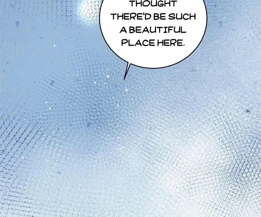 A Desolate Swan Lake Chapter 41 page 13 - 