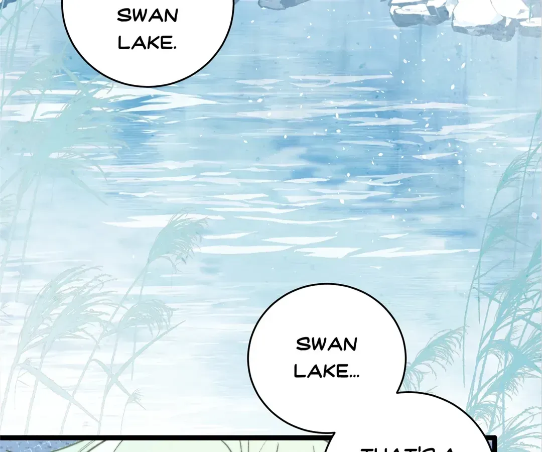 A Desolate Swan Lake Chapter 41 page 15 - 