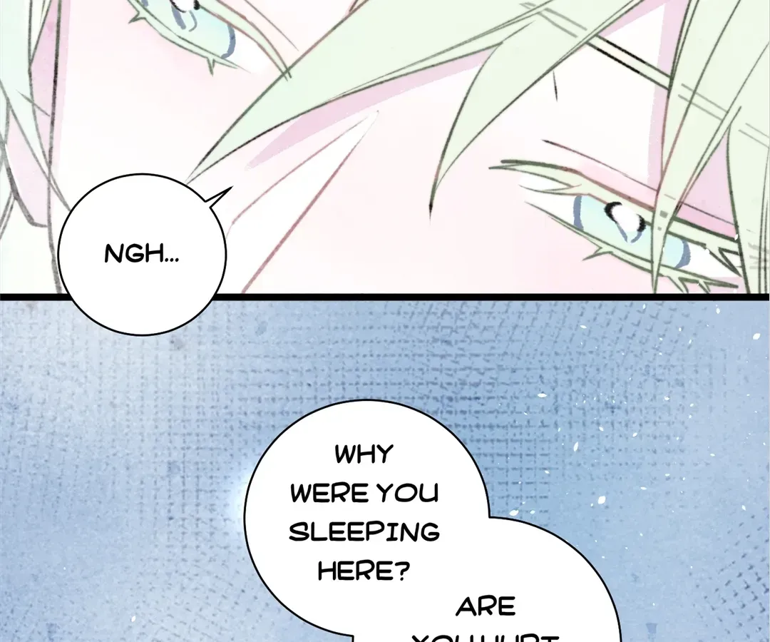 A Desolate Swan Lake Chapter 41 page 4 - 
