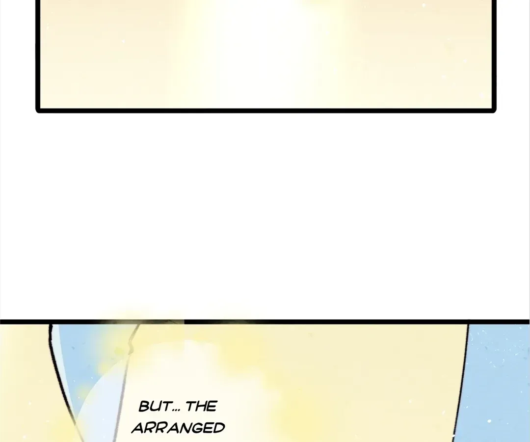 A Desolate Swan Lake Chapter 43 page 9 - 