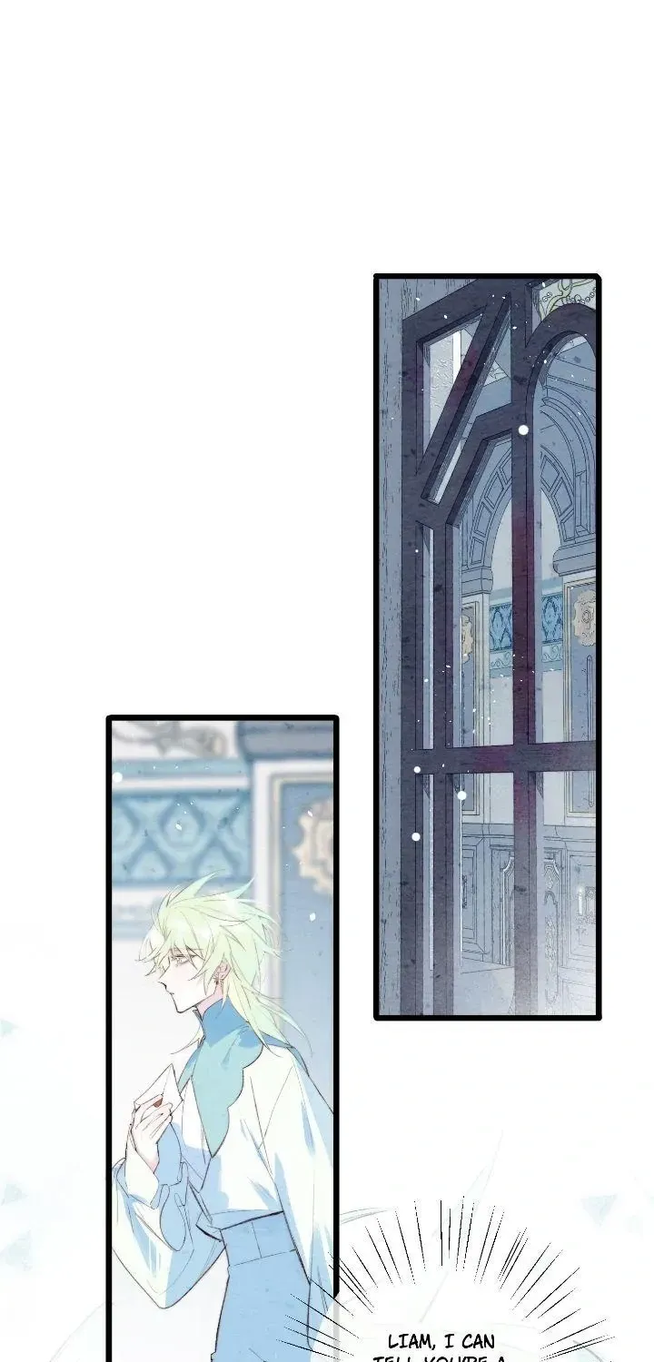 A Desolate Swan Lake Chapter 9 page 13 - 
