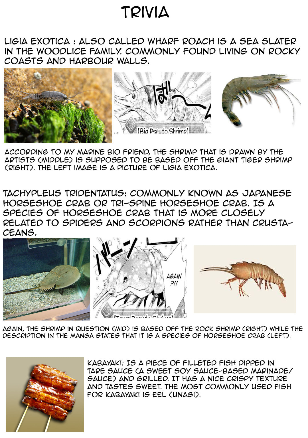 A Diary of Our Leisurely VRMMO Playthrough Chapter 56 page 26 - 