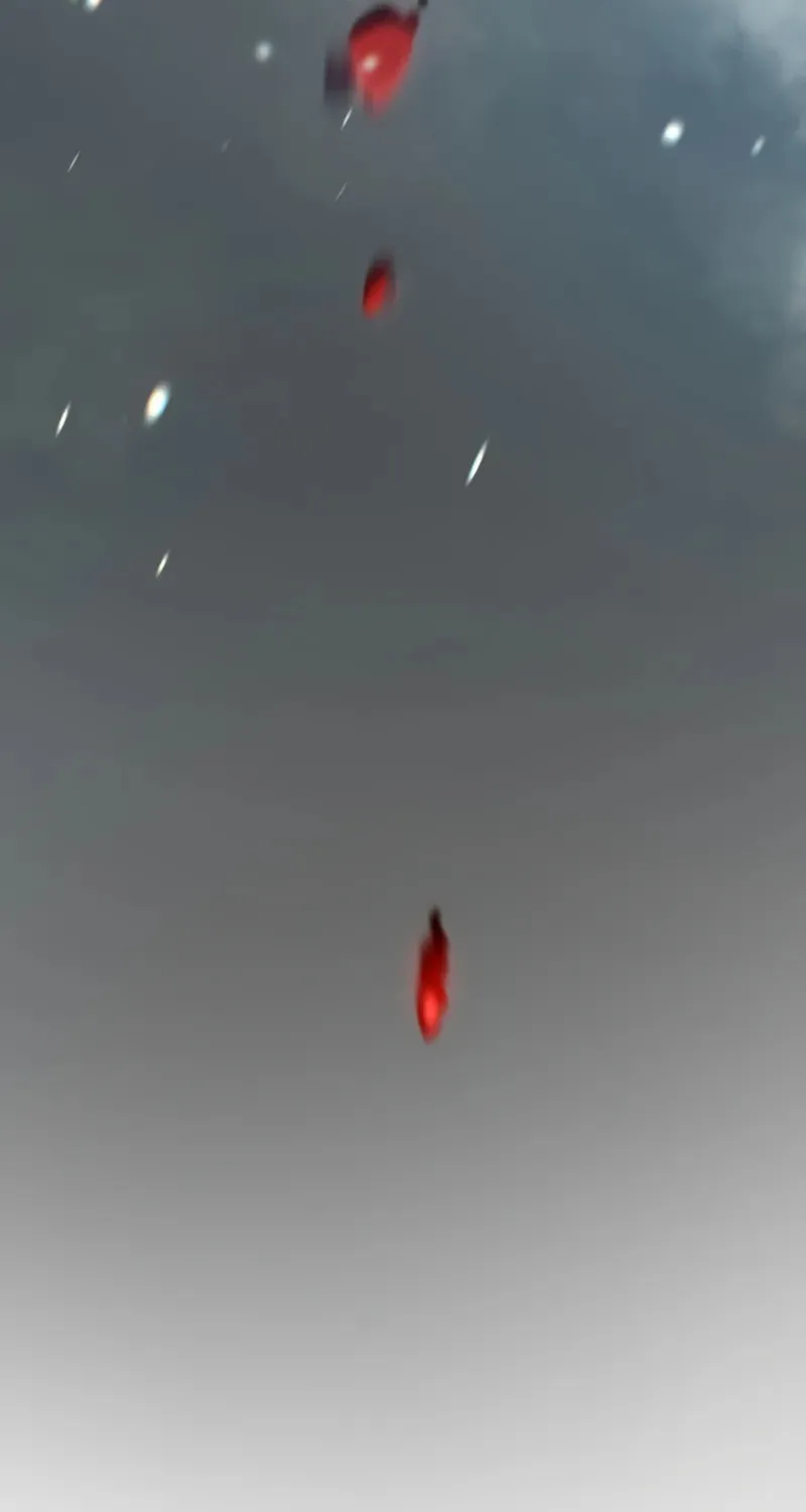 A Dragonslayer