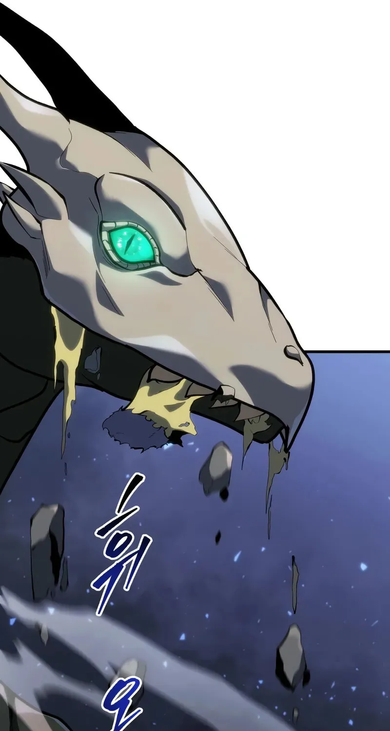 A Dragonslayer