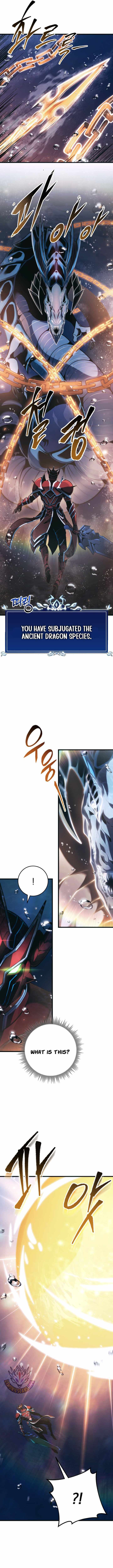 A Dragonslayer