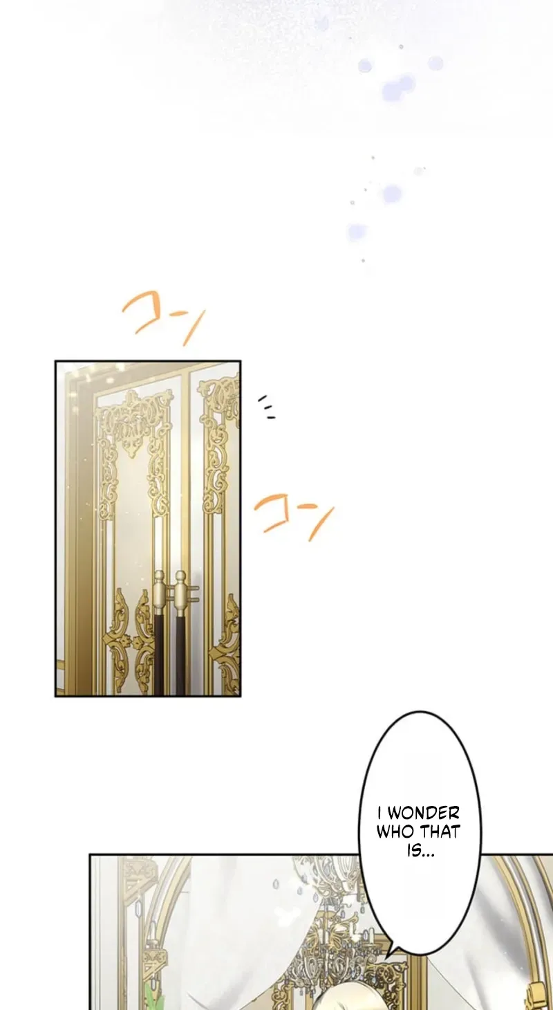 A Farewell Revenge for My Beloved Chapter 2 page 24 - 