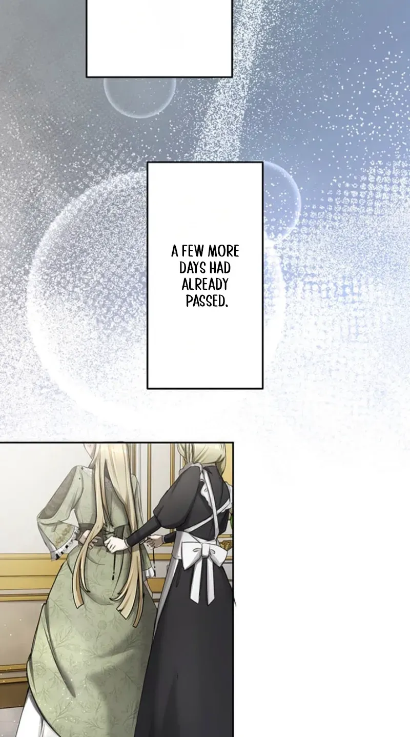 A Farewell Revenge for My Beloved Chapter 2 page 52 - 