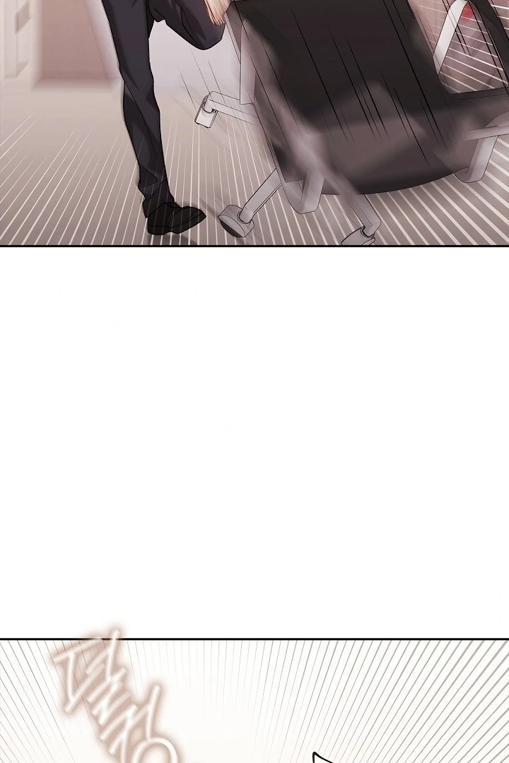 A Fighting Dog