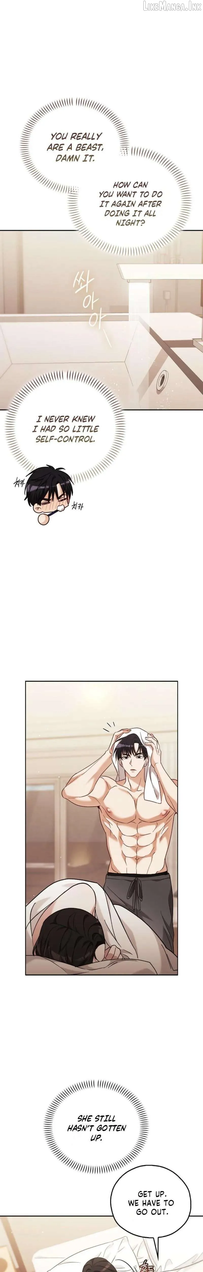 A Fighting Dog