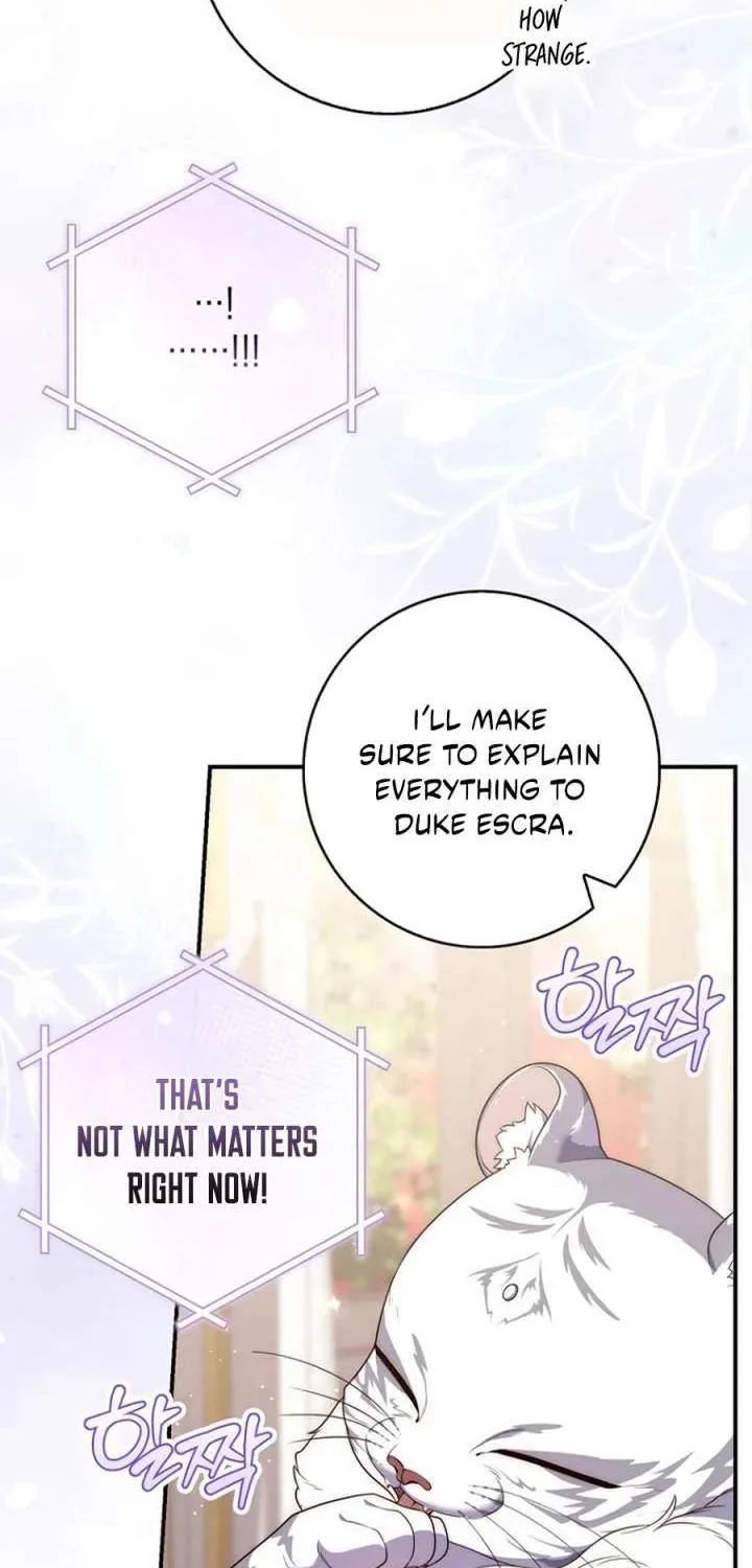A Fortune-Telling Princess Chapter 123 page 54 - 